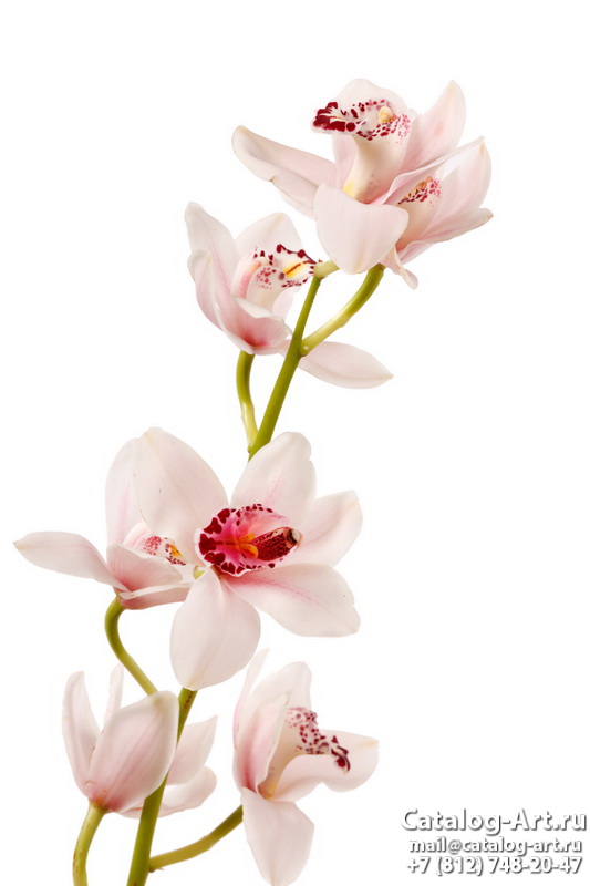 Натяжные потолки с фотопечатью - Розовые орхидеи 51